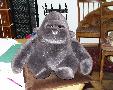 King Kong